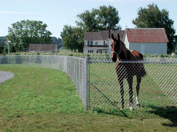 Гальванизированная загородка звена цепи для держать лошади