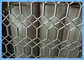 Виндовс и лист сетки металла металла дверей декоративный расширенный расширенный сеткой готический