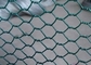 Покрытый ПВК плетения провода ячеистой сети металла Га зеленого цвета 20 декоративный шестиугольный