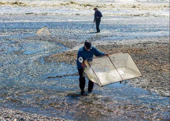 10 сеток х 10 сеток Сплавная сетка для ремонта сетей или изготовления экранов