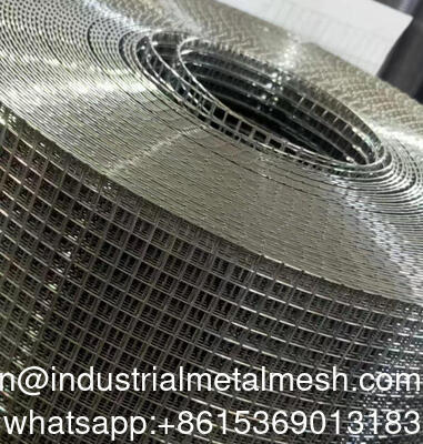 1x1inch Hot-Dip Galvanizing Welded Wire Mesh Stainless Steel Mesh Netting Roll Used for Breeding and Isolation Fence