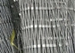 сетка веревочки нержавеющей стали загородки веревочки провода SS 316 толщины 1.5mm для зоопарка