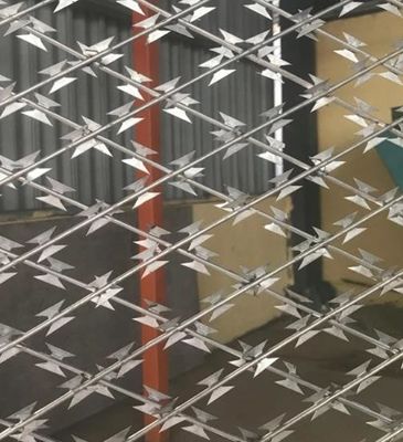 Высокий уровень безопасности загородки сетки колючей проволоки бритвы концертины Cbt-60 Cbt-65