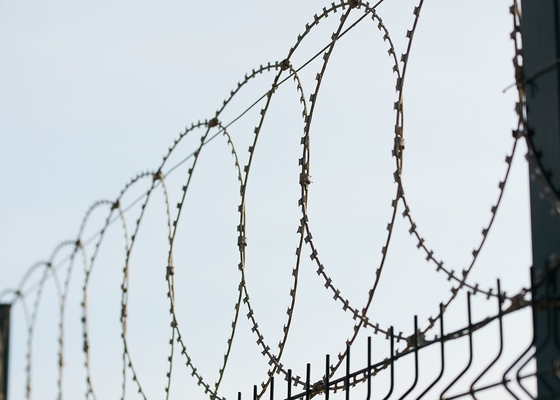 Горяче погруженный оцинкованный колючий Bto-22 Concertina Razor Wire 450 мм диаметр катушки