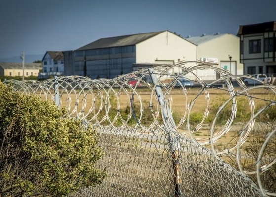 Горяче погруженный оцинкованный колючий Bto-22 Concertina Razor Wire 450 мм диаметр катушки