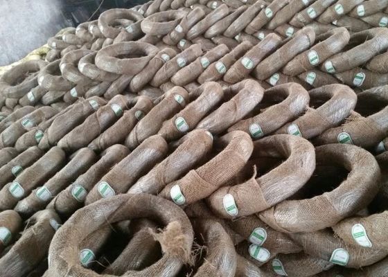 Гальванизированный стальной Electro гальванизировал вязку утюга провода гальванизировал провод BWG12