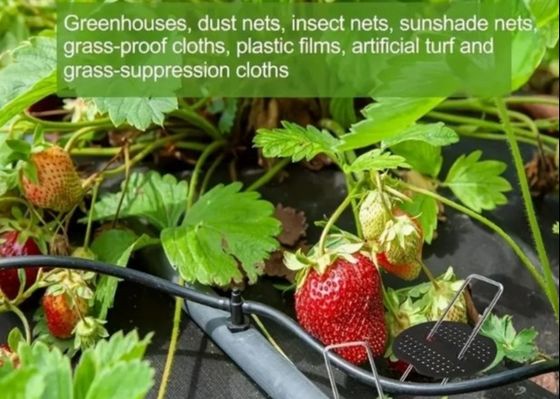 Горяче погруженный оцинкованный U-тип садовая трава трава трава несущая трава гвоздь 9 калибра диаметр проволоки