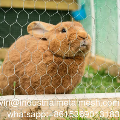 4-дюймовая шестиугольная проволочная сетка для ограждения сада