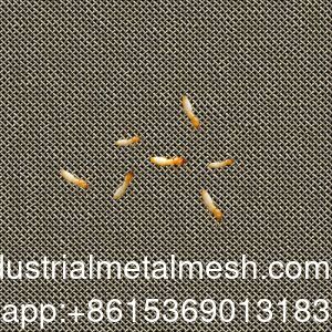 AISI 304 316 316L Противотермитная сетка из нержавеющей стали