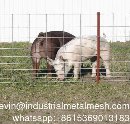 Сцинкованный 6 мм садовый забор сварные проволочные сетки лист