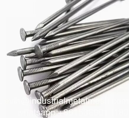 40d Bright Common Iron Wire Nails Competitive Price and Fast Delivery