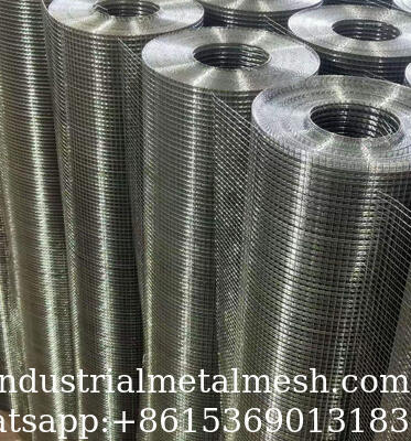 1/2 Inch Hole Stainless Steel/Galvanized Welded Wire Mesh Roll