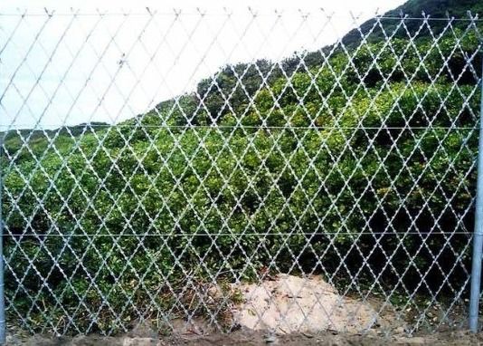 "X6"-IN Апертура сварная резинка ленточная сетка Изготовлена из оцинкованной железной проволоки ограждения панель