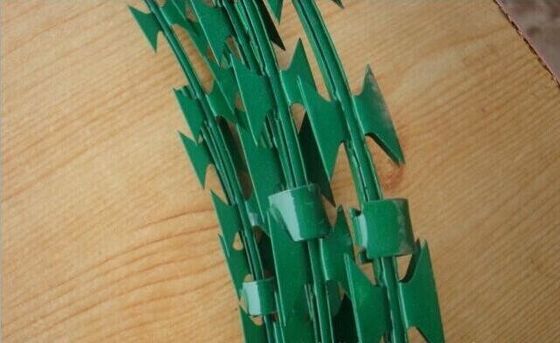 Электрокрашенный бритва Cbt65 Wire Concertina Военный