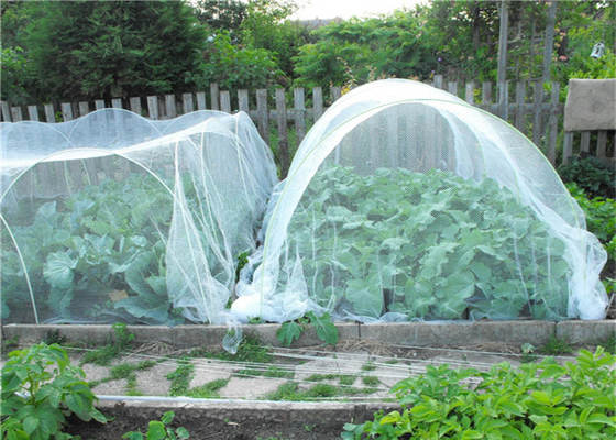 Садоводство Hdpe Fly Screen Mesh Сеть защиты от насекомых